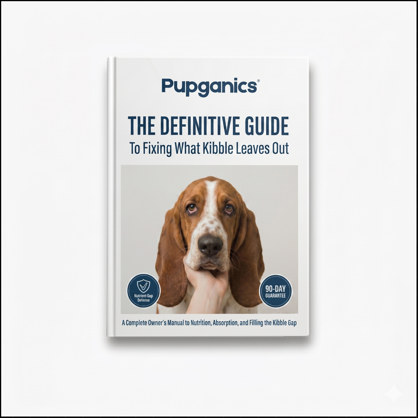 Guide To Kibble Nutrient Gaps