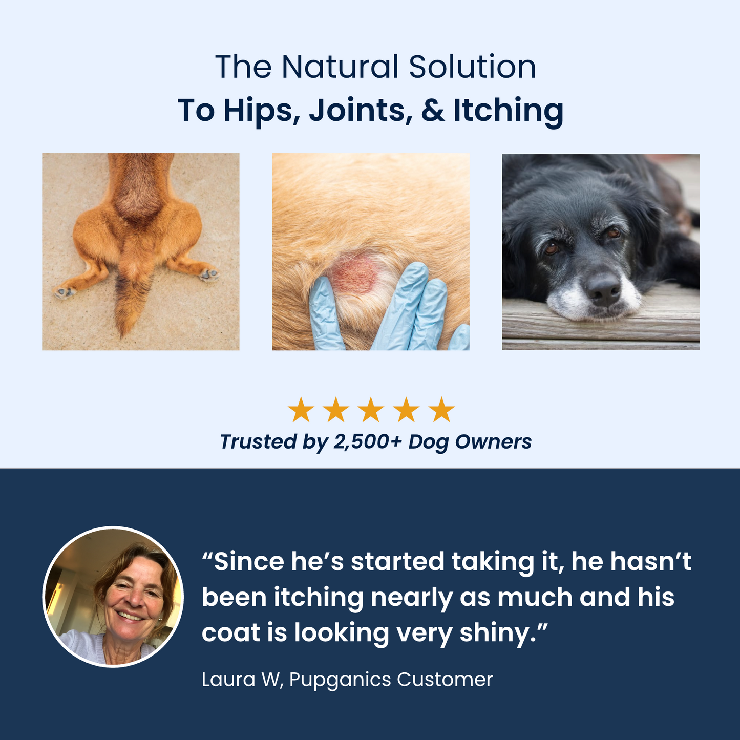 Pupganics Multivitamin™️ Daily Soft Chews
