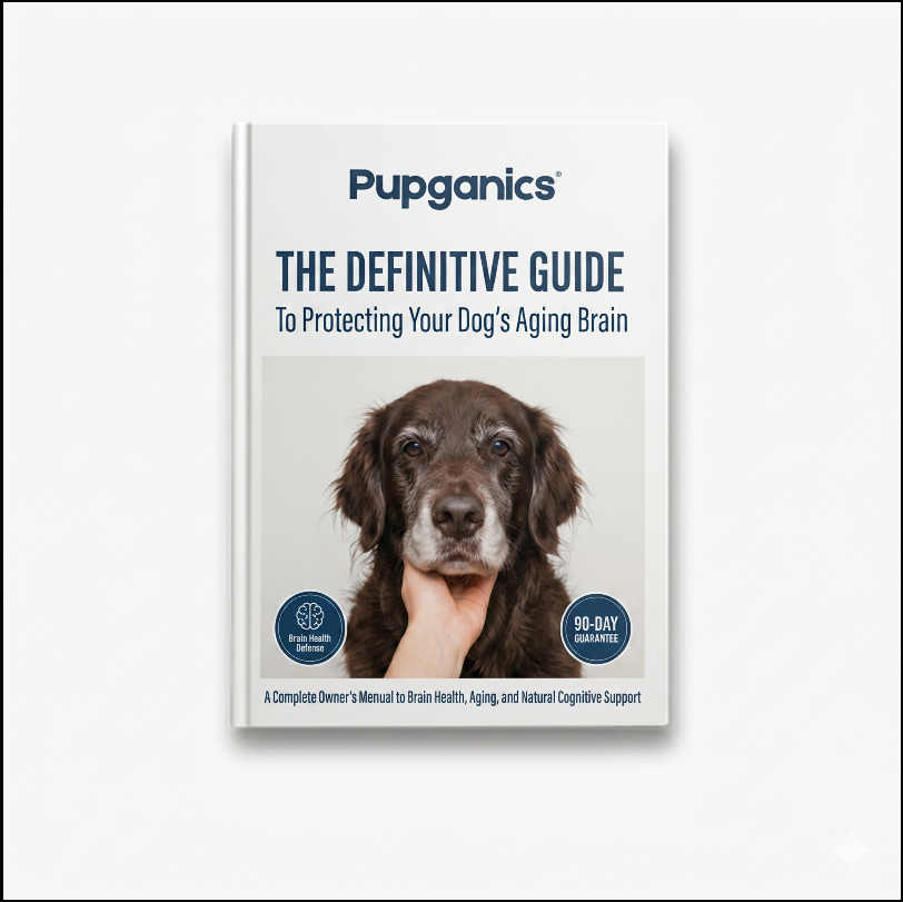 Guide To Cognitive Health