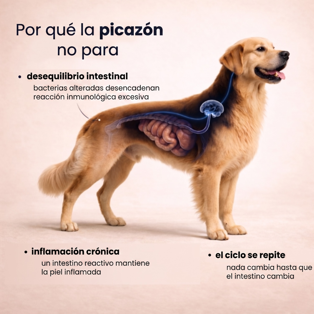 Masticable Suave Diario de Apoyo Articular Pupganics™