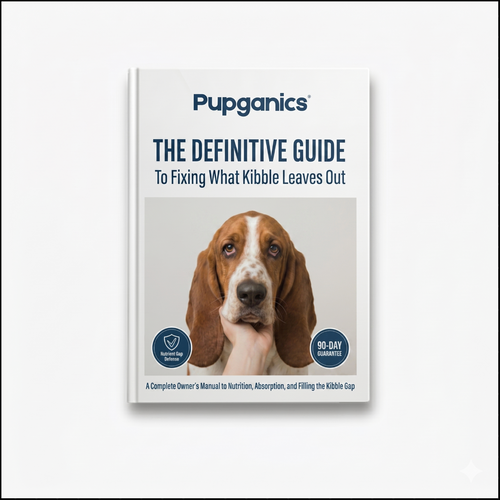 Guide To Kibble Nutrient Gaps