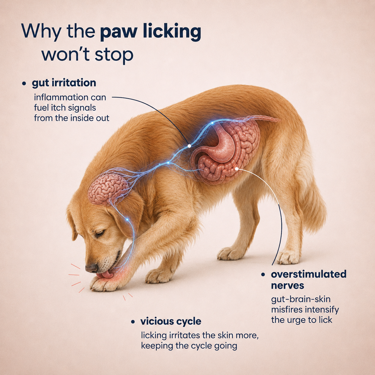 Pupganics™ Paw-Licking Relief Daily Chews