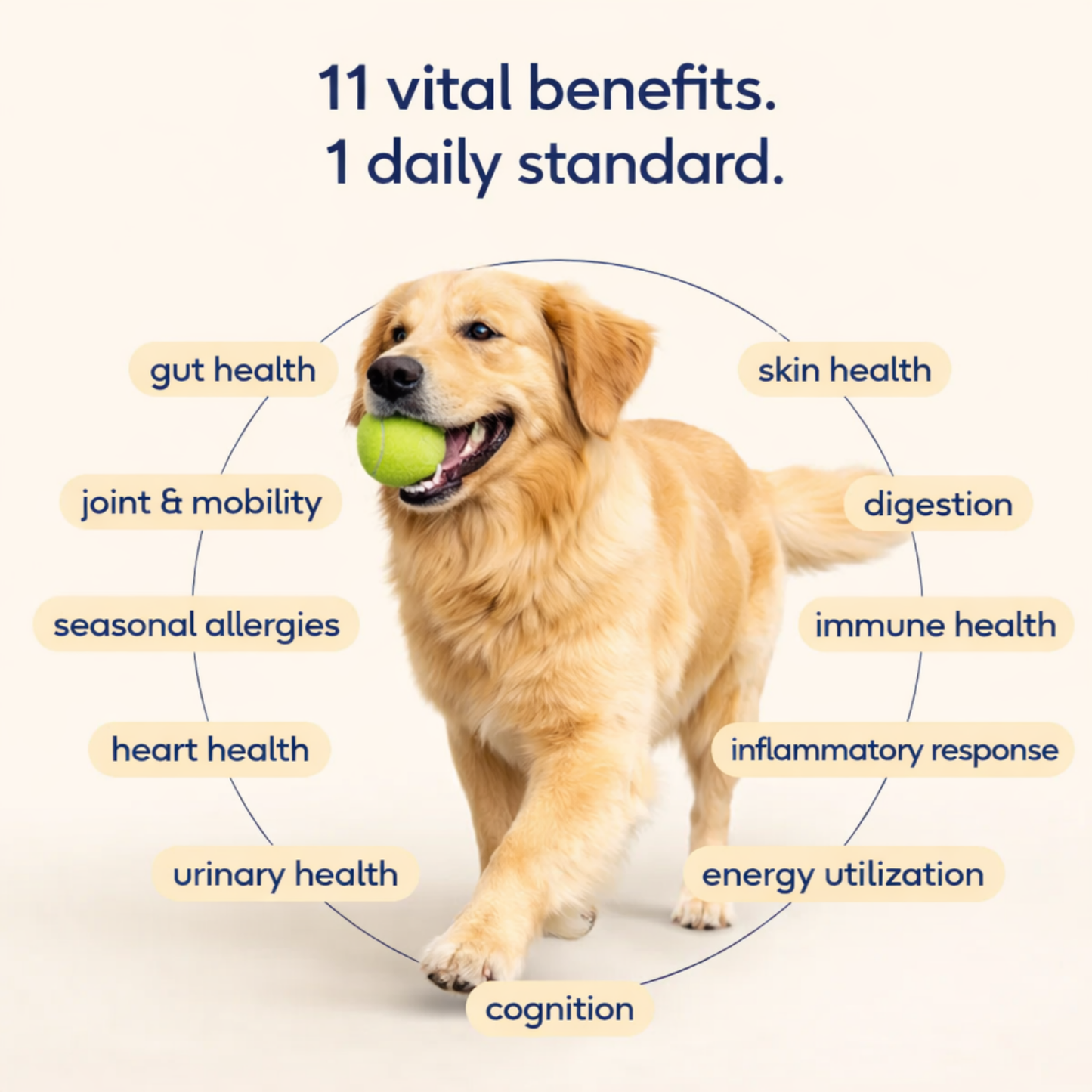 Pupganics™ Itch Relief Daily Chews