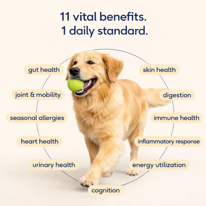 Pupganics™ Itch Relief Daily Chews