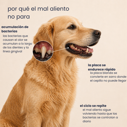 Pupganics™ ProSonrisa Polvo Dental