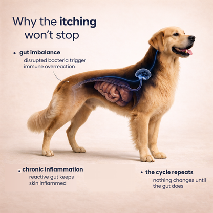 Pupganics™ Itch Relief Daily Chews
