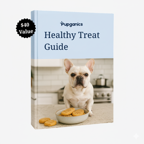 Healthy Treat Guide E-Book