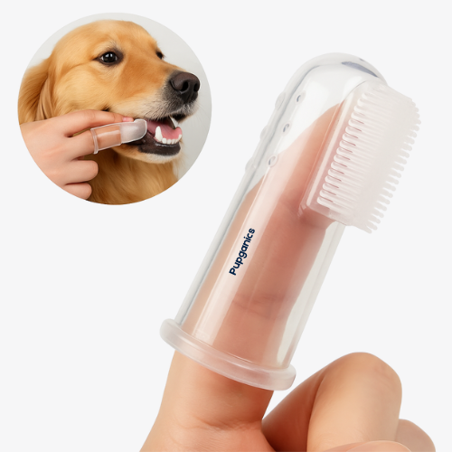 +Pupganics™️ Dental Brush