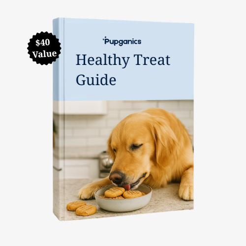 Healthy Treat Guide E-Book