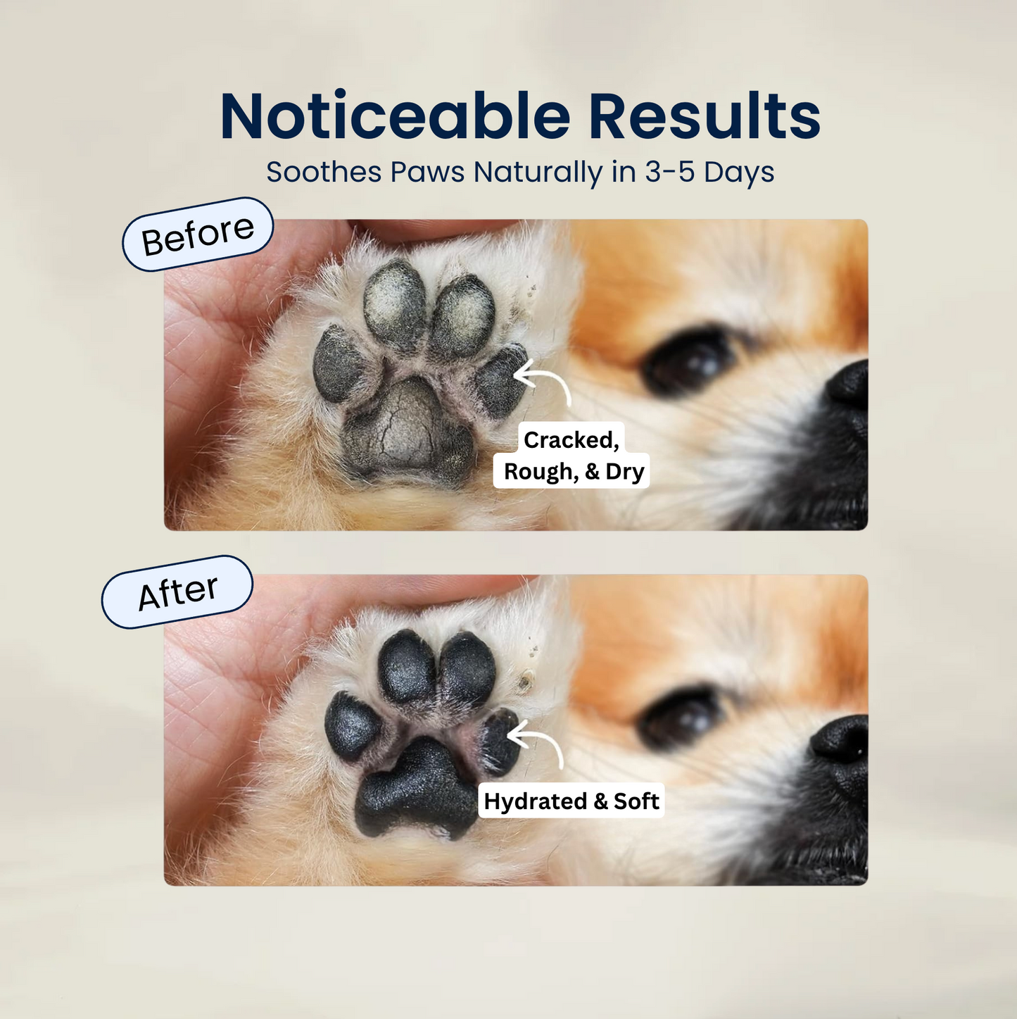 Pupganics Paw & Nose Balm