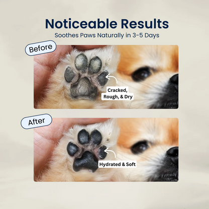 Pupganics Paw & Nose Balm