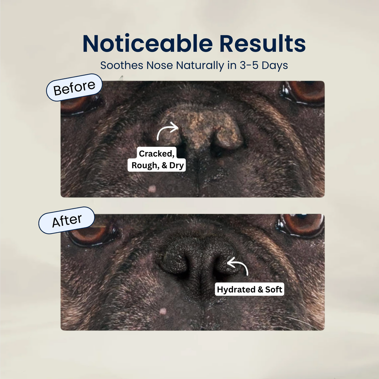 Pupganics Paw & Nose Balm