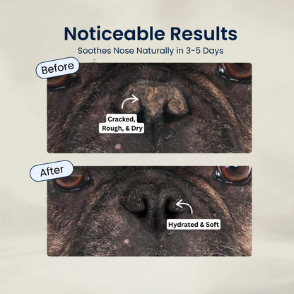 Pupganics Paw & Nose Balm