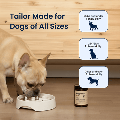 Pupganics Multivitamin™️  Daily Soft Chews
