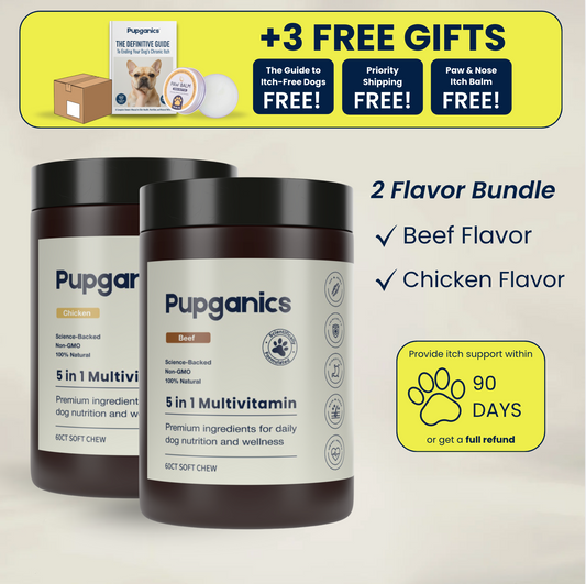 Advanced Skin & Gut Support Multivitamin Chews (Flavor Bundle)