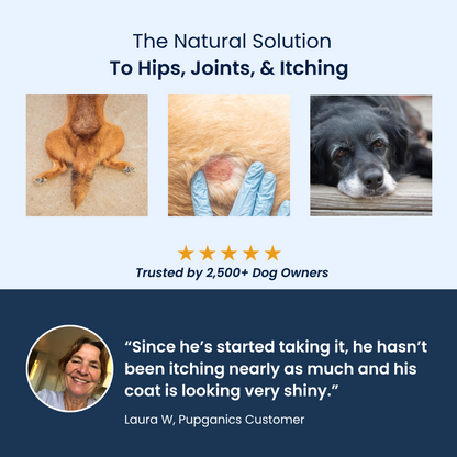 Pupganics Multivitamin™️  Daily Soft Chews
