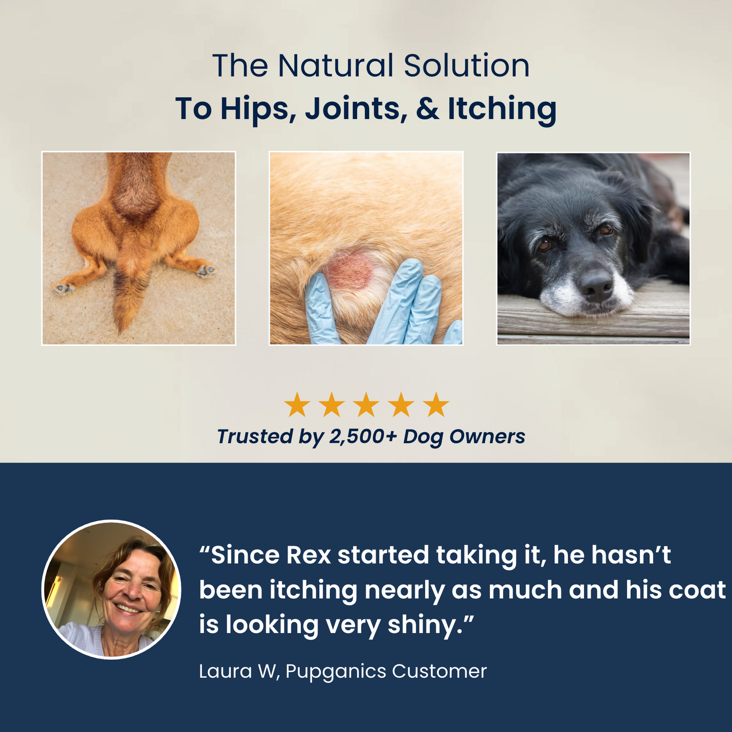 Pupganics Multivitamin™️  Daily Soft Chews