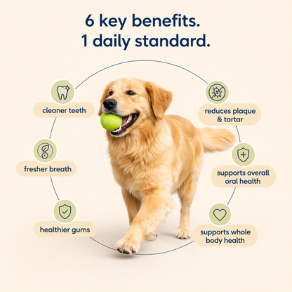 Pupganics™ ProSmile Dental Powder