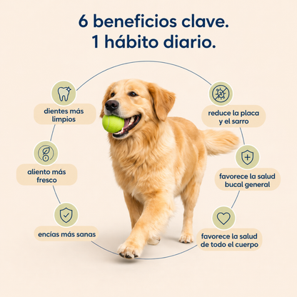 Pupganics™ ProSonrisa Polvo Dental
