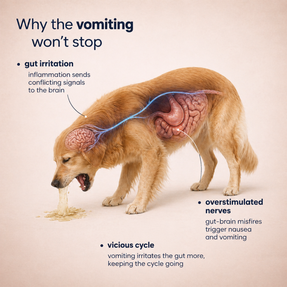 Pupganics™ Vomiting Relief Daily Chews