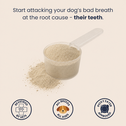 Pupganics™ ProSmile Dental Powder
