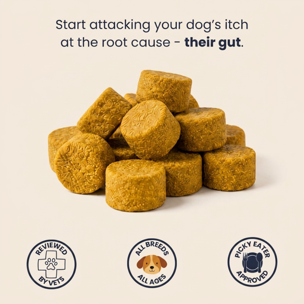 Pupganics™ Itch Relief Daily Chews
