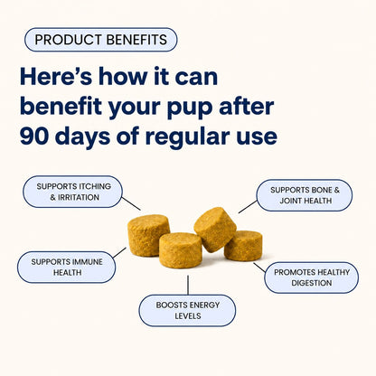 Pupganics™ Multivitamin  Daily Soft Chews