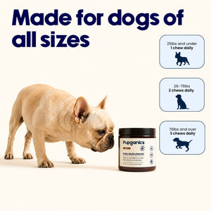 Pupganics™ Nerve Support Daily Soft Chews