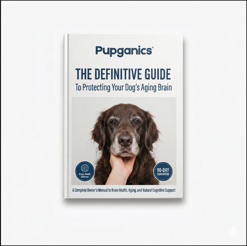 Guide To Cognitive Health
