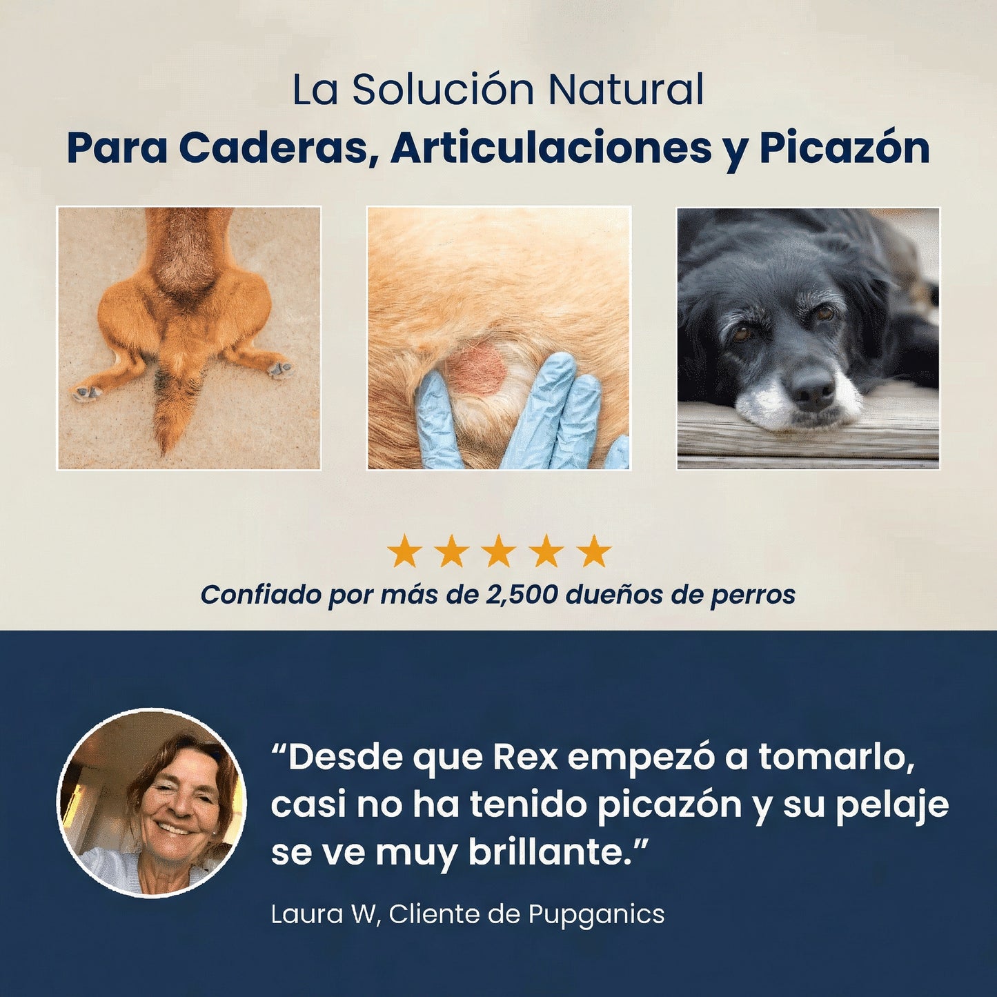 Multivitamínico diario masticable suave Pupganics