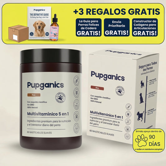 Masticables Avanzados para Caderas y Articulaciones Sanas