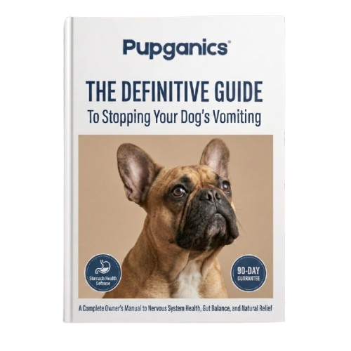 Guide to Stopping Your Dog's Vomiting